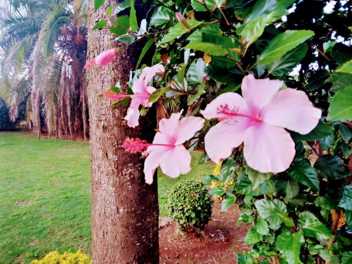 Greenfield Homestay -Full Board Oloitokitok المظهر الخارجي الصورة